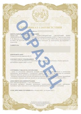 Образец Сертификат СТО 01.064.00220722.2-2020 Кулебаки Сертификат СТО 01.064.00220722.2-2020 